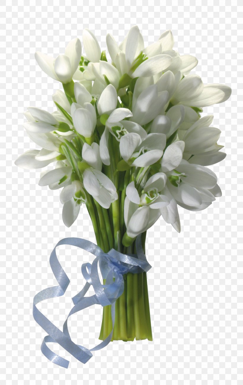 Snowdrop Flower Bouquet Desktop Wallpaper, PNG, 2000x3164px, Snowdrop, Artificial Flower, Blossom, Cut Flowers, Digital Image Download Free