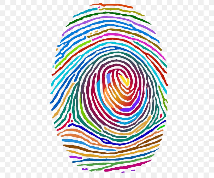 Fingerprint Cdr Clip Art, PNG, 500x681px, Fingerprint, Area, Biometrics, Cdr, Hand Download Free