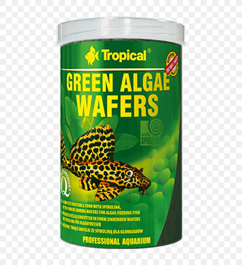 Green Algae Spirulina Mate Food, PNG, 500x900px, Algae, Algae Eater, Aquarium, Aquarium Fish Feed, Arthrospira Platensis Download Free