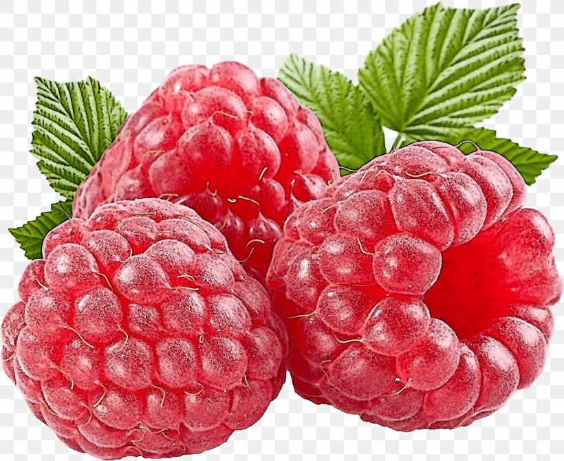 Berry Fruit Raspberry Blackberry Rubus, PNG, 3000x2453px, Berry, Accessory Fruit, Blackberry, Boysenberry, Bramble Download Free