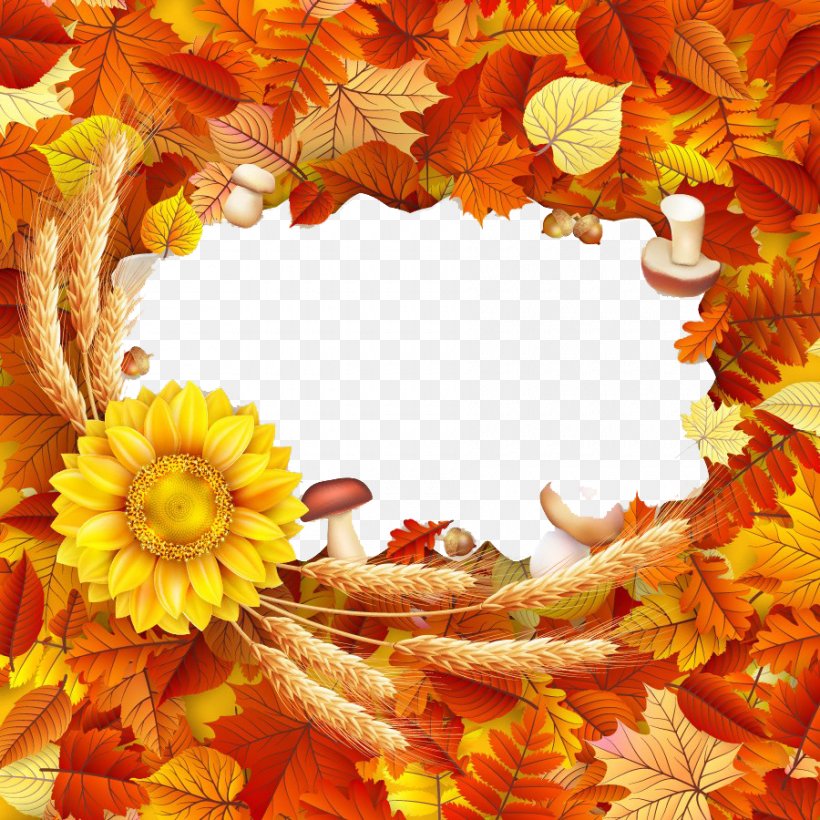 Paper Illustration, PNG, 900x900px, Paper, Autumn, Calendula, Color, Flower Download Free