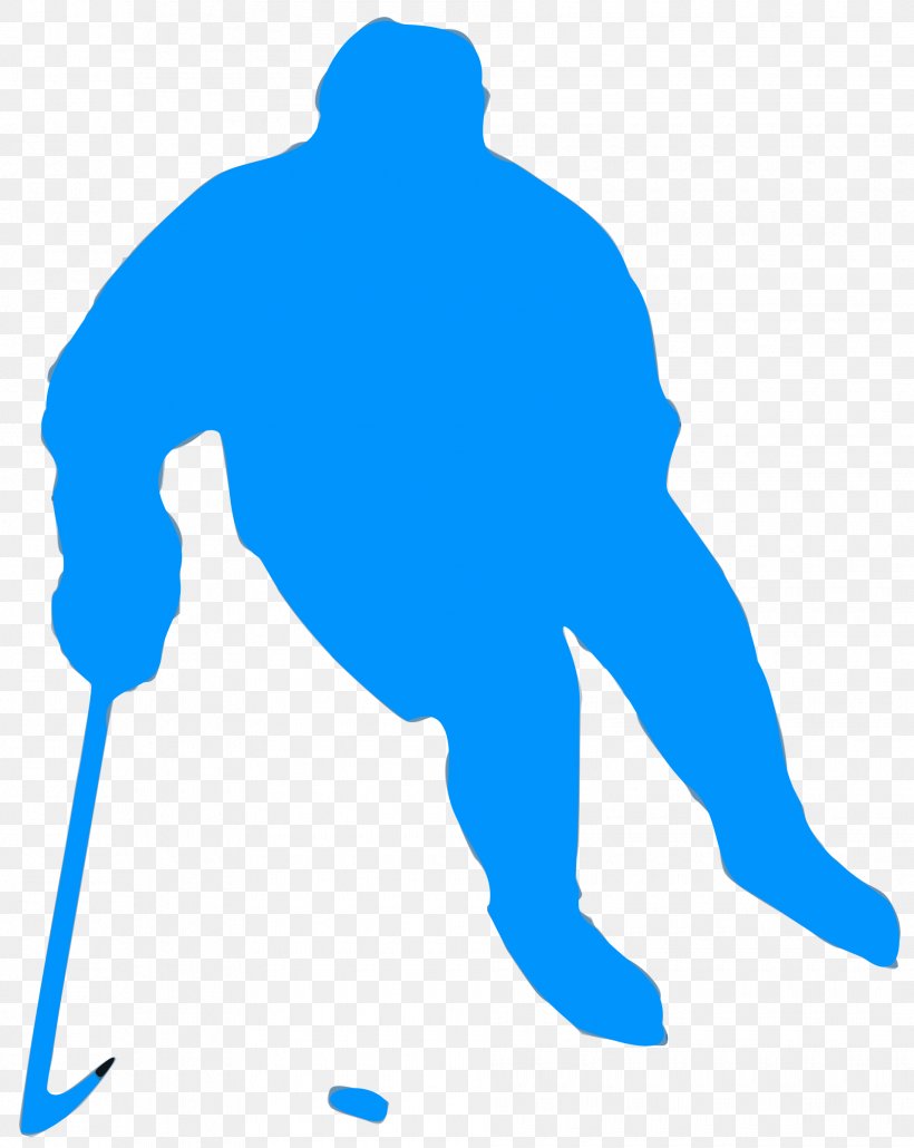 Ice Hockey Hockey Sticks Ice Skating Hockey Field, PNG, 1910x2400px, Hockey, Area, Blue, Fictional Character, Goaltender Mask Download Free