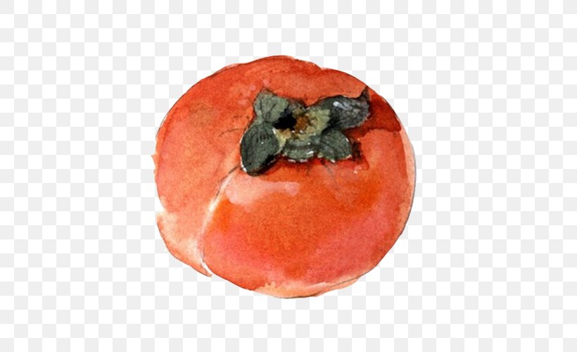 Persimmon Berry Watercolor Painting Fruit, PNG, 500x500px, Persimmon, Auglis, Berry, Diospyros, Ebony Trees And Persimmons Download Free