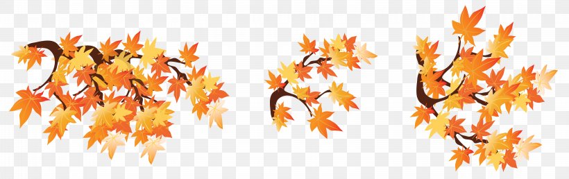 Autumn Branch Clip Art, PNG, 6271x1978px, Branch, Autumn, Autumn Leaf Color, Drawing, Floral Design Download Free