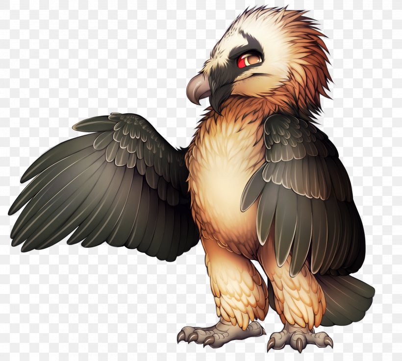 Bird Of Prey Bearded Vulture Egyptian Vulture, PNG, 2059x1852px, Bird, Animal, Beak, Bearded Vulture, Bird Of Prey Download Free