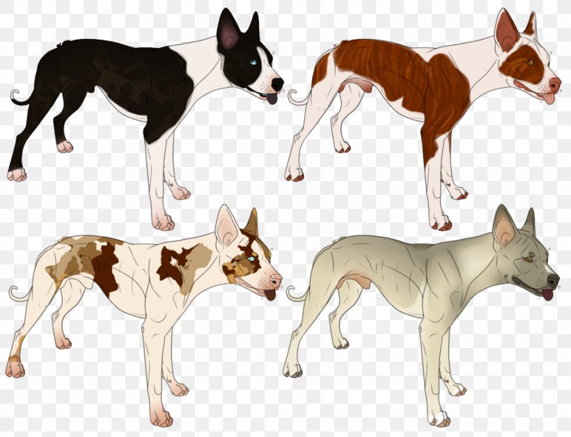 Dog Breed Whippet Ibizan Hound Bulldog Art, PNG, 1021x783px, Dog Breed, Adoption, Art, Artist, Breed Download Free