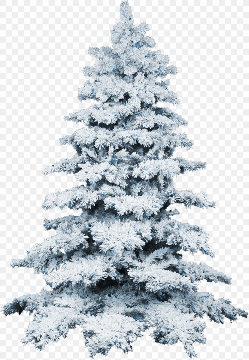 Fir Christmas Tree, PNG, 1968x2844px, Fir, Christmas, Christmas Decoration, Christmas Ornament, Christmas Tree Download Free