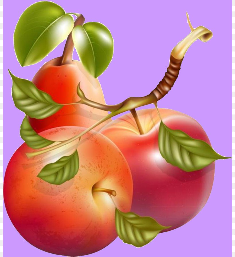 Juice Smoothie Apple Clip Art, PNG, 800x898px, Juice, Accessory Fruit, Apple, Avocado, Diet Food Download Free