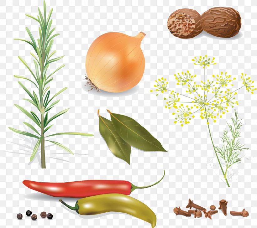 Spice Herb Food, PNG, 1000x888px, Spice, Alternative Medicine, Anise, Cinnamon, Commodity Download Free