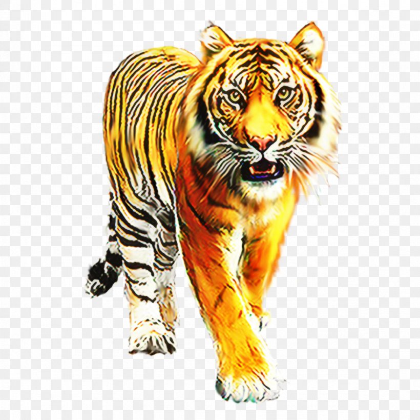 Tiger Cat Whiskers Roar, PNG, 1181x1181px, Tiger, Animal, Animal Figure, Bengal Tiger, Big Cat Download Free