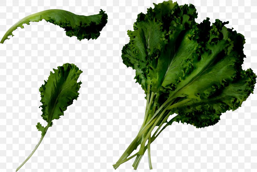 Coriander Spring Greens Curly Kale Collard Greens Broccoli, PNG, 2856x1916px, Coriander, Broccoli, Collard Greens, Cruciferous Vegetables, Curly Kale Download Free