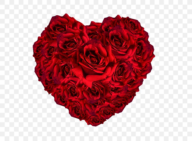 Garden Roses Heart Image, PNG, 800x600px, Garden Roses, Carmine, Cut ...