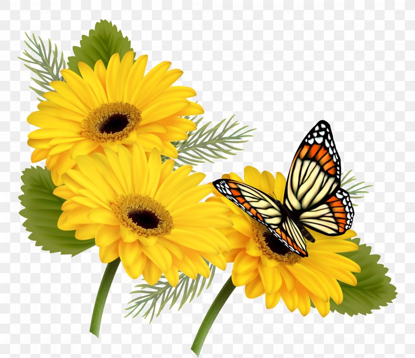 Butterfly Flower Yellow Clip Art, PNG, 4410x3808px, Butterfly, Annual Plant, Brush Footed Butterfly, Chrysanths, Color Download Free