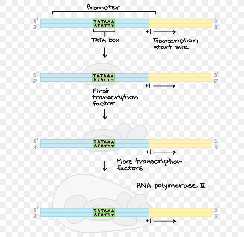 Line Point Angle, PNG, 1367x1327px, Point, Area, Diagram, Material, Number Download Free