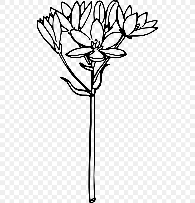 Onion Vegetable Clip Art, PNG, 512x855px, Onion, Artwork, Black And White, Branch, Cut Flowers Download Free