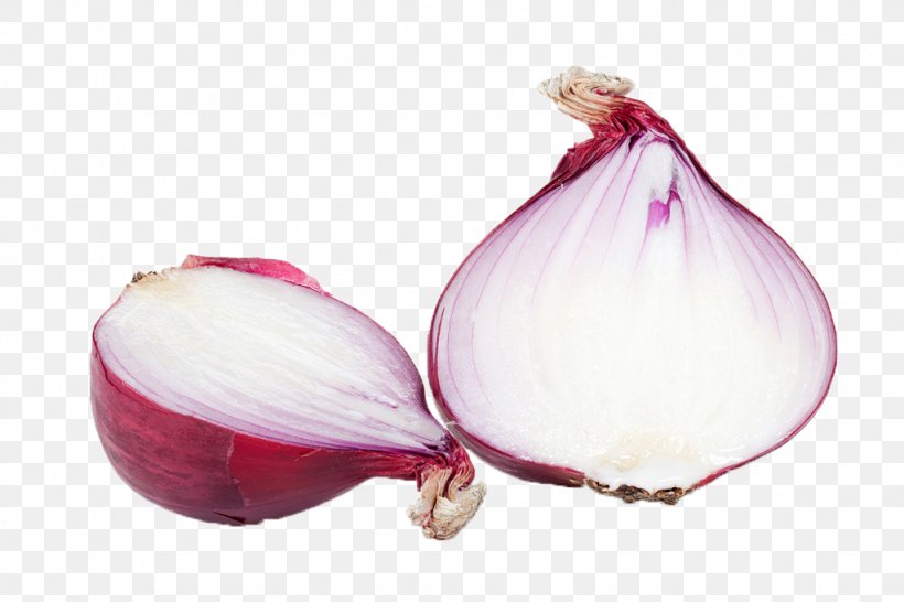 Red Onion Vegetable Food Allium Fistulosum, PNG, 1024x683px, Onion, Allium, Allium Fistulosum, Cooking, Eating Download Free