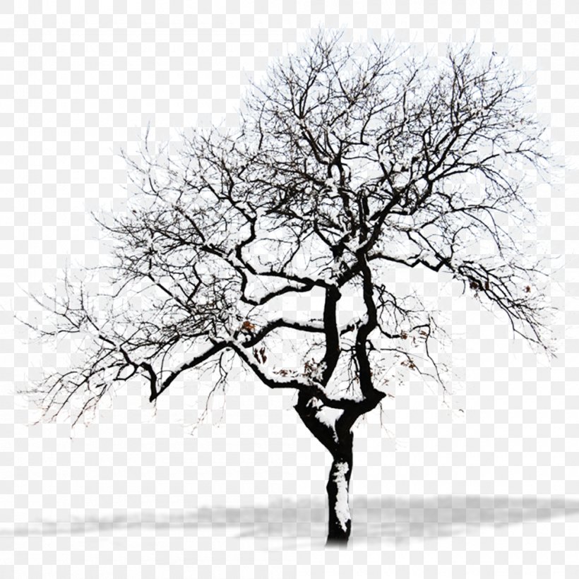 Snow Tree Branch, PNG, 1000x1000px, Snow, Black And White, Branch, Monochrome, Monochrome Photography Download Free