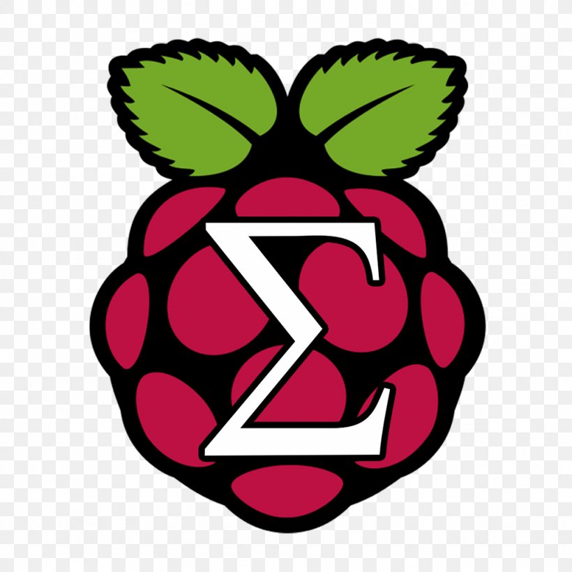 Raspberry Pi Foundation Computer Raspbian General-purpose Input/output, PNG, 1024x1024px, Raspberry Pi Foundation, Area, Artwork, Bluetooth Low Energy, Broadcom Corporation Download Free