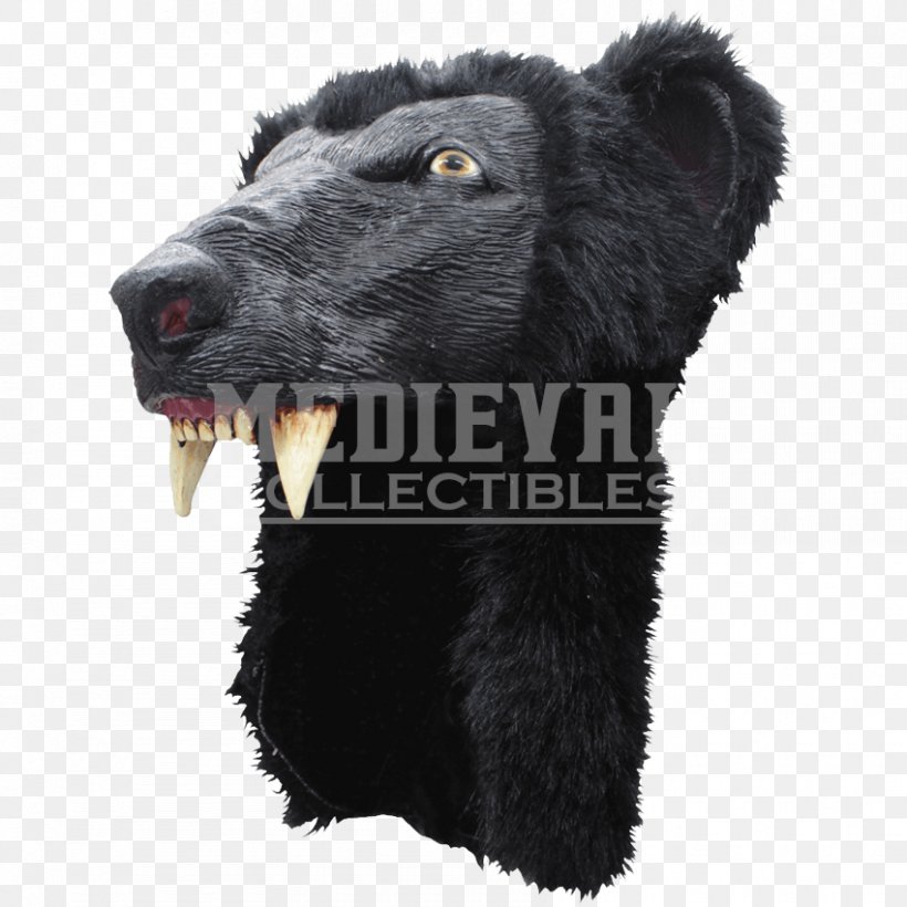 American Black Bear Fur Snout, PNG, 850x850px, American Black Bear, Bear, Carnivoran, Fur, Snout Download Free