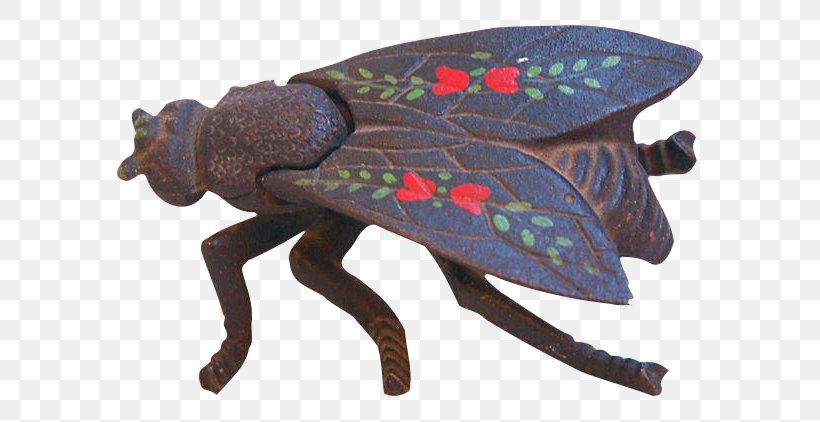 Insect True Bugs, PNG, 620x422px, Insect, Invertebrate, Membrane Winged Insect, Organism, Table Download Free