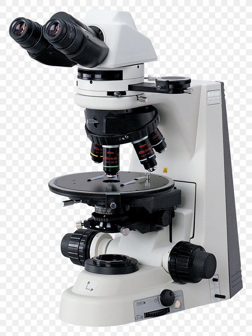 Optical Microscope Nikon Instruments Micrograph, PNG, 1125x1500px, Microscope, Laboratory, Micrograph, Microscopy, Nikon Download Free