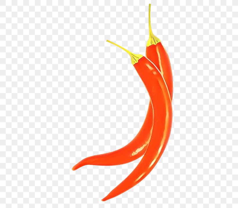 Orange, PNG, 715x715px, Cartoon, Bell Peppers And Chili Peppers, Cayenne Pepper, Chili Pepper, Malagueta Pepper Download Free