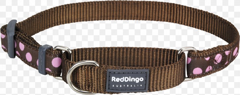 Dingo Dog Collar German Shepherd Martingale, PNG, 3000x1188px, Dingo, Belt, Blue, Brown, Buckle Download Free