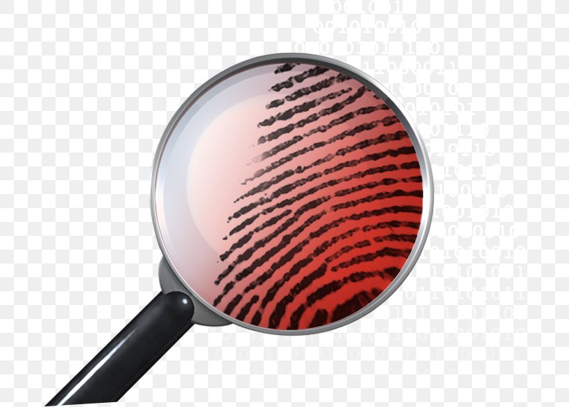 Fingerprint Magnifying Glass Live Scan Clip Art, PNG, 696x587px, Fingerprint, Brush, Criminal Investigation, Finger, Forensic Science Download Free