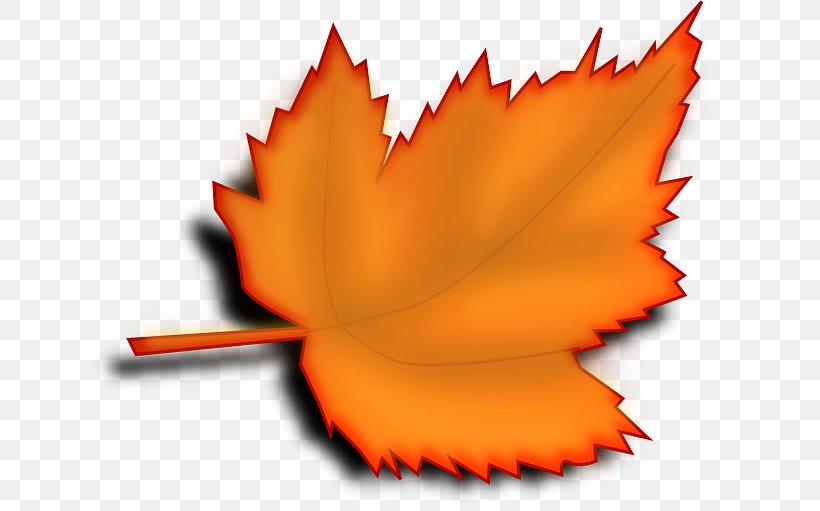 Autumn Leaf Color Desktop Wallpaper Clip Art, PNG, 640x511px, Autumn Leaf Color, Autumn, Flower, Leaf, Maple Download Free