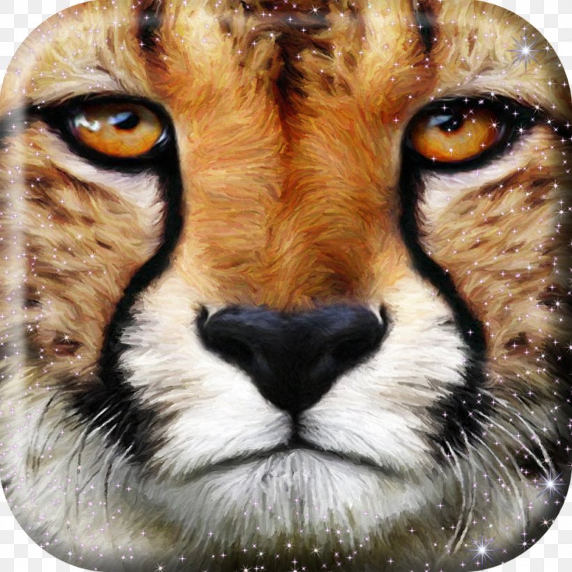 Cheetah Wildcat Leopard Big Cat, PNG, 1024x1024px, Cheetah, African Golden Cat, Big Cat, Big Cats, Carnivoran Download Free