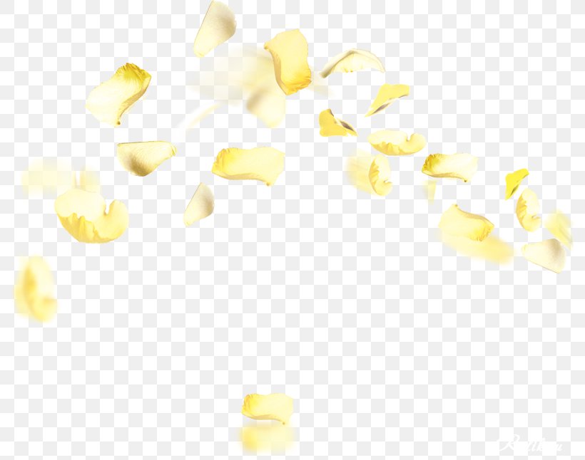 Yellow Petal Flower Orange Color, PNG, 793x646px, Yellow, Color, Corn Kernels, Flower, Flower Bouquet Download Free