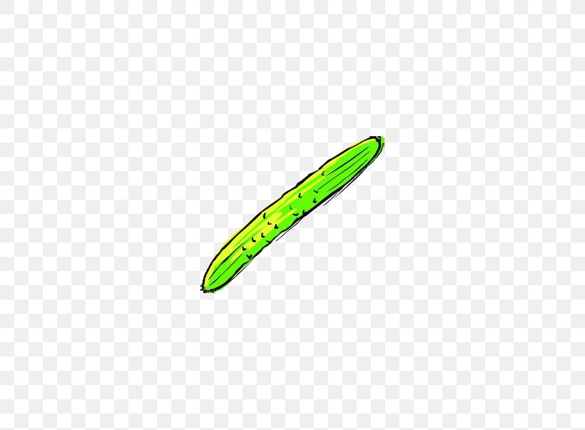 Cucumber Vegetable Cartoon, PNG, 578x603px, Cucumber, Cartoon, Drawing, Grass, Gratis Download Free
