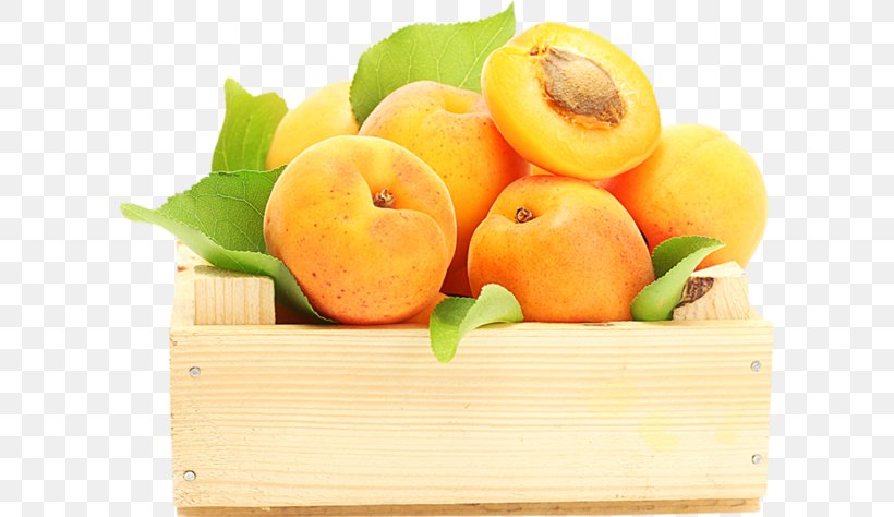 Fruit Apricot Food Persimmon Desktop Wallpaper, PNG, 600x474px, Fruit, Apricot, Berry, Diet Food, Display Resolution Download Free