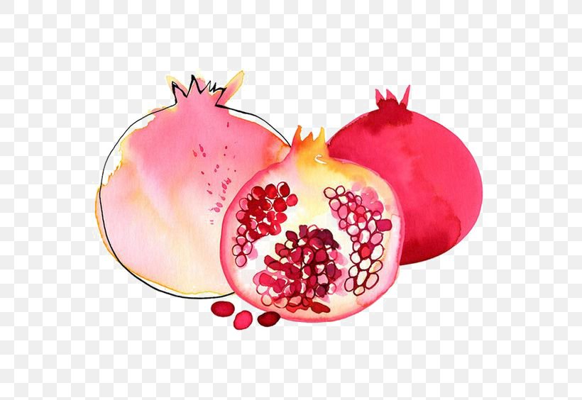 Pomegranate Granada Watercolor Painting, PNG, 564x564px, Pomegranate, Auglis, Drawing, Food, Fruit Download Free