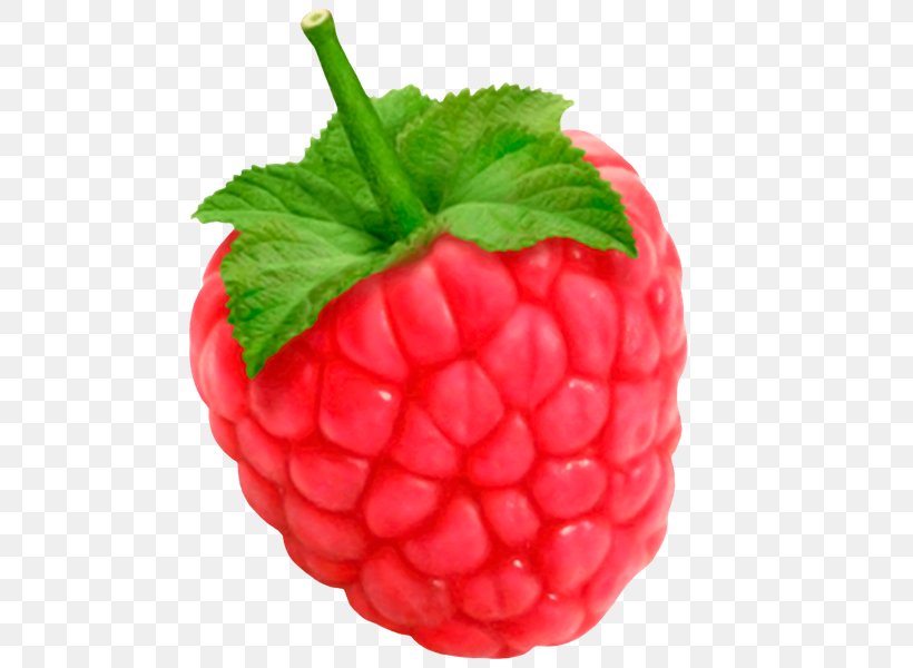 Raspberry Mari Belajar Learning Fruits, PNG, 600x600px, Raspberry, Accessory Fruit, Android, Berry, Diet Food Download Free