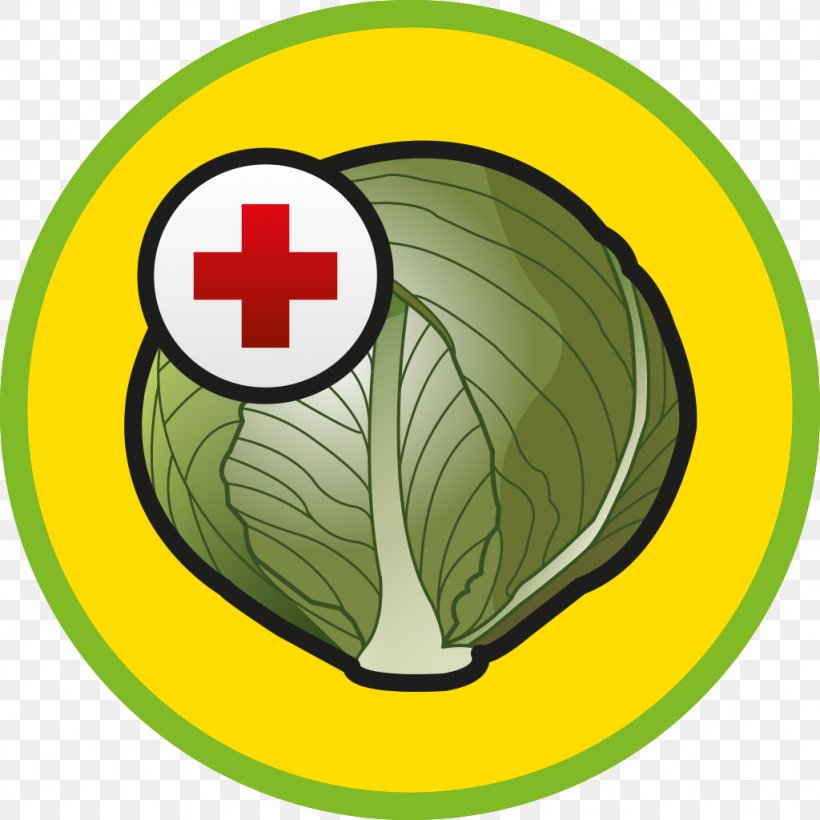 Cabbage Revenge Disease App Store, PNG, 1024x1024px, Disease, App Store, Apple, Ball, Falling Download Free
