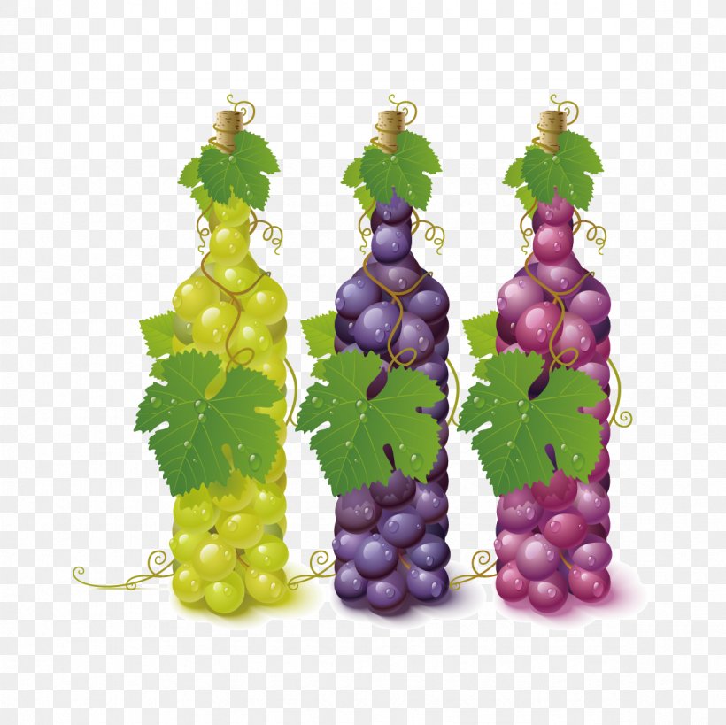 Common Grape Vine Wine Grape Leaves, PNG, 1181x1181px, Common Grape Vine, Bottle, Food, Fruit, Fruit Wine Download Free