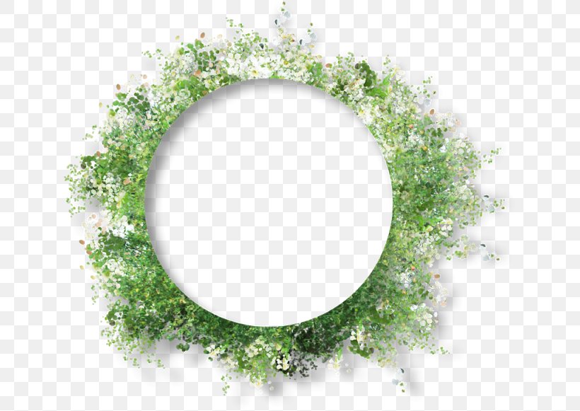 Flower Poinsettia Wedding Photography, PNG, 640x581px, Flower, Creativity, Designer, Grass, Green Download Free