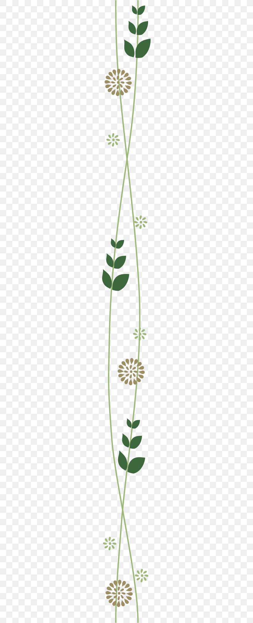 Grasses Plant Stem Leaf Green Flower, PNG, 157x2017px, Grasses, Branch, Family, Flora, Flower Download Free