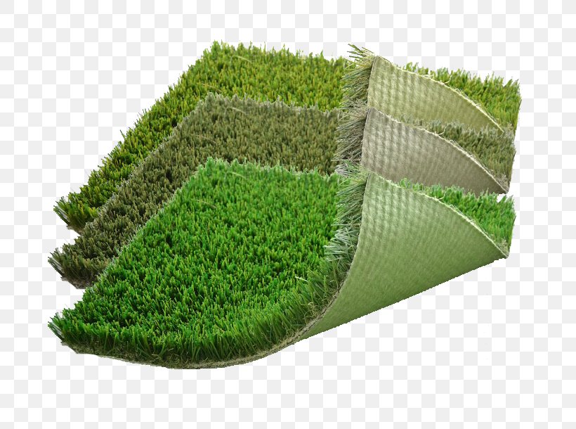 Lawn Artificial Turf Grasses Plant Shrub, PNG, 700x610px, Lawn, Artificial Turf, Family, Grass, Grass Family Download Free