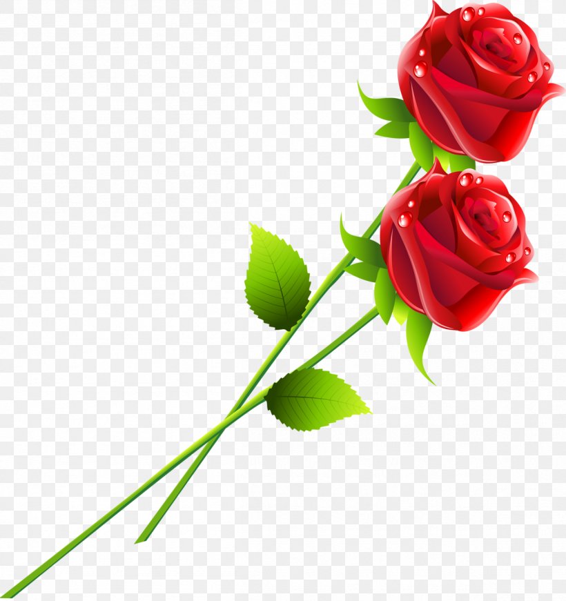 Garden Roses Flower Red, PNG, 1204x1280px, Rose, Blue, Blue Rose, Bud, Color Download Free