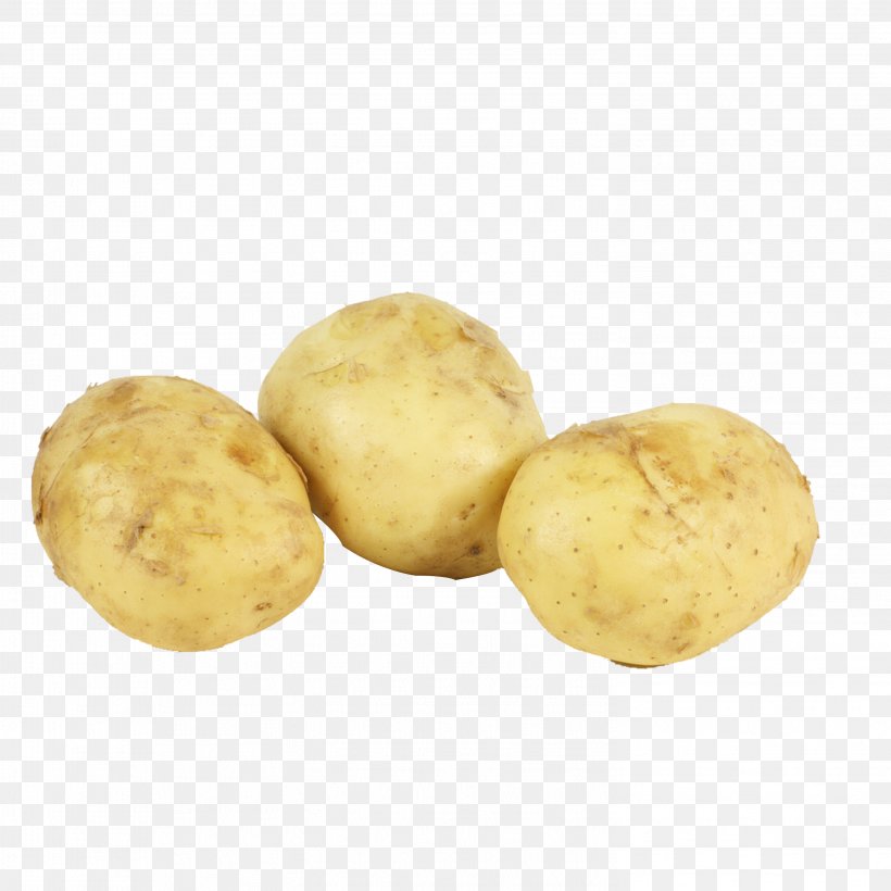 Russet Burbank Yukon Gold Potato Irish Potato Candy Potato Varieties Vegetable, PNG, 2953x2953px, Russet Burbank, Export, Factory, Food, Import Download Free
