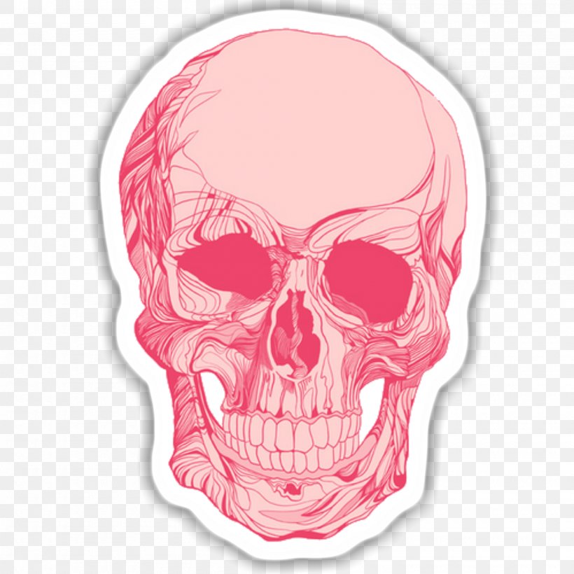 Skull Calavera Clip Art Skeleton, PNG, 2000x2000px, Skull, Bone, Calavera, Day Of The Dead, Drawing Download Free