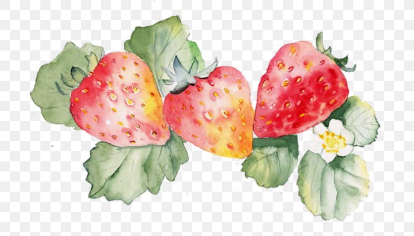 Watercolor Painting Design Image Art Graphics, PNG, 704x468px, Watercolor Painting, Art, Diet Food, Drawing, Floral Design Download Free
