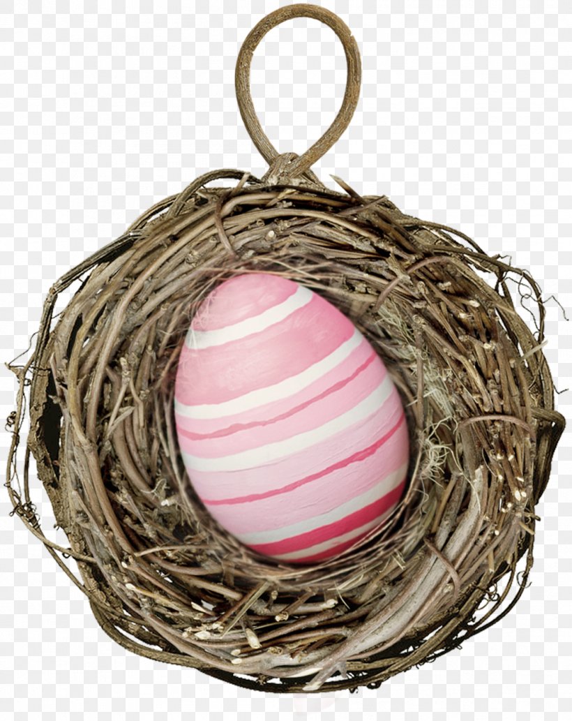 Bird Nest Egg, PNG, 1056x1331px, Bird, Bird Nest, Clutch, Dots Per Inch, Egg Download Free