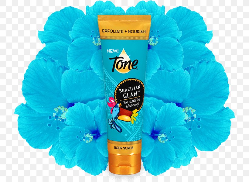 Exfoliation Skin Care Brazilian Glam Shower, PNG, 732x599px, Exfoliation, Blue, Brazil Nut, Cut Flowers, Flower Download Free