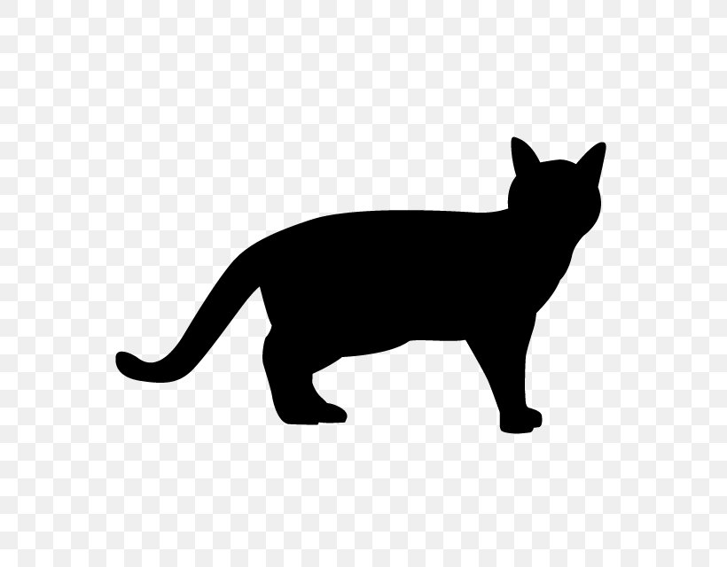 Ferret Cat Panther, PNG, 640x640px, Ferret, Black, Black And White, Black Cat, Carnivoran Download Free