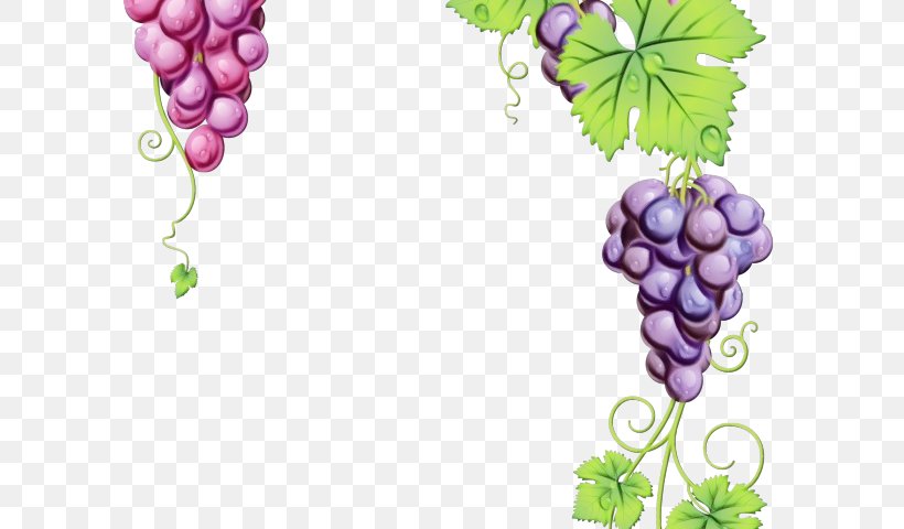Leaves Background, PNG, 640x480px, Grape, Extract, Flower, Food, Fruit Download Free