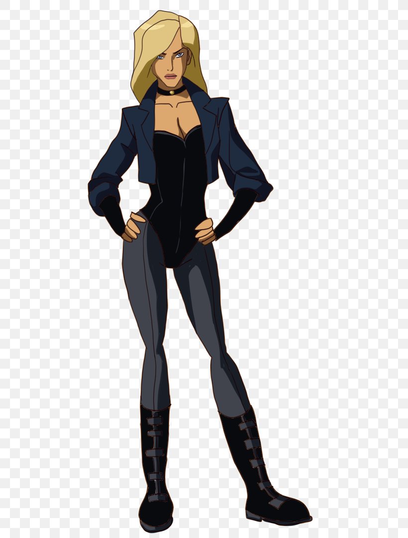 Black Canary The Flash Eobard Thawne Wildcat Batgirl, PNG, 640x1080px, Watercolor, Cartoon, Flower, Frame, Heart Download Free