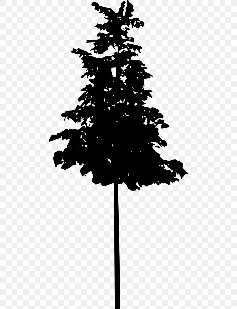 Spruce Fir Pine Silhouette Black And White, PNG, 481x1070px, Spruce, Black And White, Branch, Christmas Decoration, Christmas Ornament Download Free